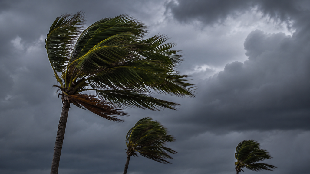 Hurricane Season Insurance Preparation